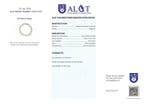 Geen Reserve - ALGT-gecertificeerd - Grote en zeer
