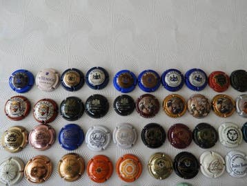 Capsules à champagne (240) - Acier
