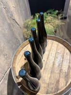 2021 Laura Weber Auf Der Ley - Nahe - 6 Flessen (0.75 liter), Nieuw