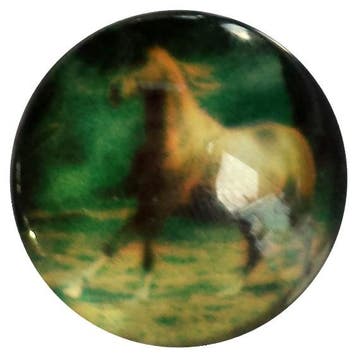 Fako Bijoux - Click Button - Glas - Paard Bruin, Verzenden