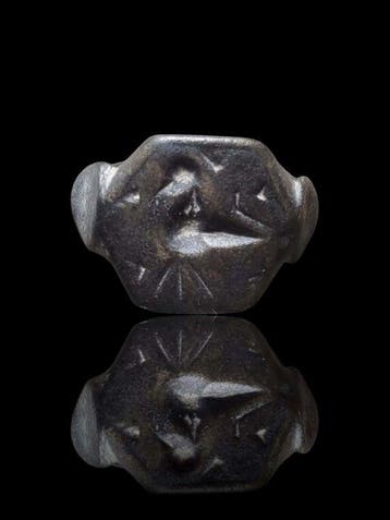 Keltisch Stunning Military Bird Seal Ring (Zonder