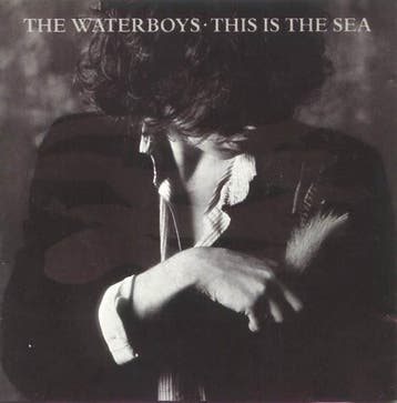 The Waterboys - This Is The Sea, Verzenden, Gebruikt