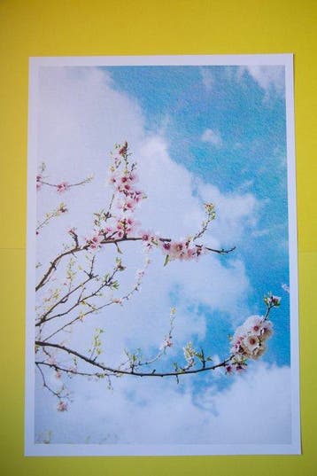 Viet Ha Tran - The beauty of simplicity