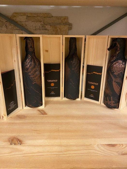 2018 Tenute Lunelli, Carapace Lunga Attesa - Umbrië DOCG - 3, Verzamelen, Wijnen