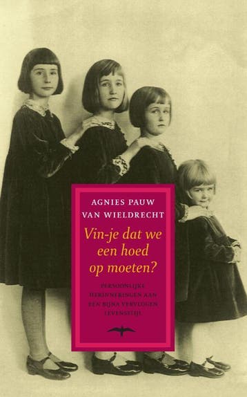 Vin-je dat we een hoed op moeten ? 9789060053966, Verzenden, Gelezen, A. Pauw van Wieldrecht