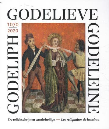 Godelieve Van Gistel | Raoul Depuydt | Nieuw, Boeken, Verzenden, Nieuw, Raoul Depuydt