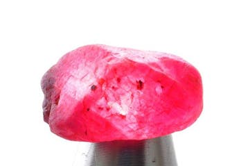 Robijn 67 karaat ruwe robijnkristallen, onbehandeld- 13.56 g