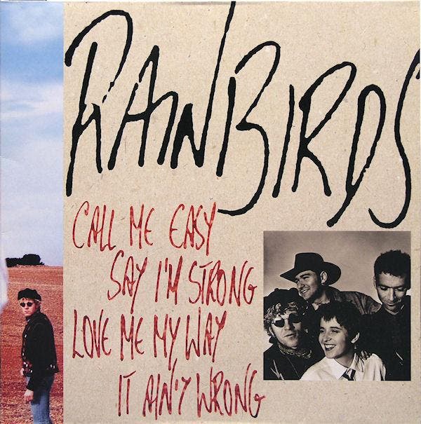 Rainbirds - Call Me Easy Say Im Strong Love Me My Way It Ai, Cd's en Dvd's, Vinyl | Pop, Gebruikt, Verzenden