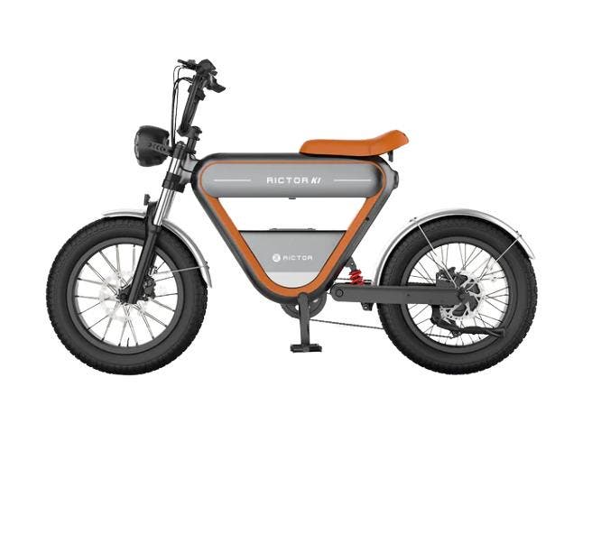 Rictor K1 - Future E-Bike – Elektrische Fiets Met 250W Motor, Fietsen en Brommers, Elektrische fietsen, Nieuw, Verzenden