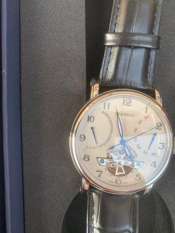 SEA-GULL - Flywheel Double Retrograde Mechanical Watch, Nieuw