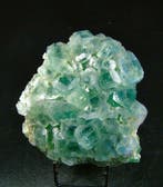 CW2072 Bella Fluorite van twee generaties Kristalcluster -, Collections, Minéraux & Fossiles