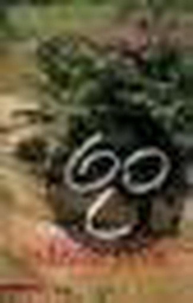 INDISCHE JAREN 9789045004549 A. Zikken, Livres, Romans, Envoi