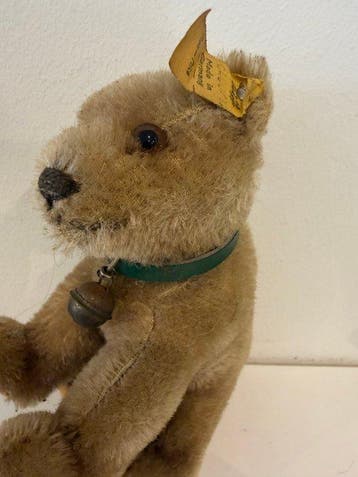 Steiff - Pluche dier Jungbär - 1950-1960 - Duitsland