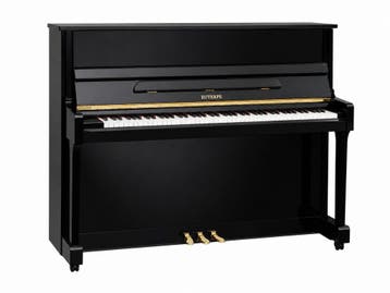 Euterpe EU-121 (2004), Musique & Instruments, Musiques & Instruments Autre, Verzenden