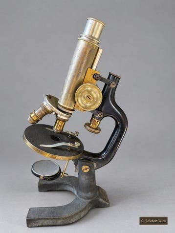 Simple microscope - 1900-1910 - Reichert, Verzamelen