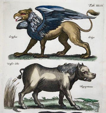 Matthäus Merian (b.1593) Folio: Mythological Griffin,