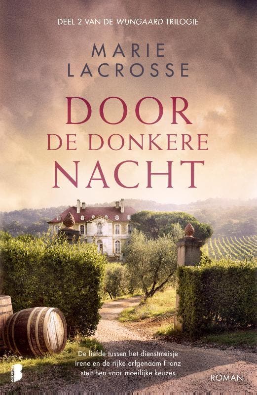 Door de donkere nacht / Wijngaard-trilogie / 2 9789022598825, Livres, Romans, Envoi