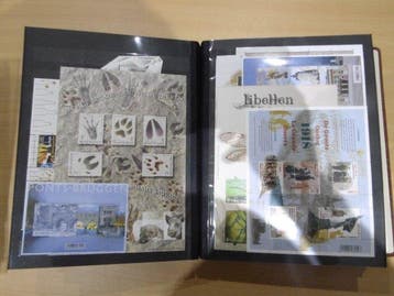 Belgique 2018 - Presque une année complète, timbres, blocs,