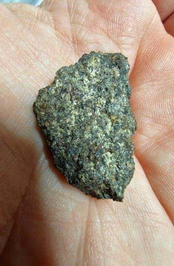 Ureilietmeteoriet, NWA 18492. Geen reserveprijs. - 9.62 g -