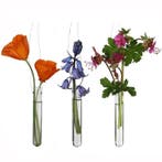 Reageerbuisjes glas 2 gaatjes 10 cm Ø1.5 cm set 12 stuks, Nieuw