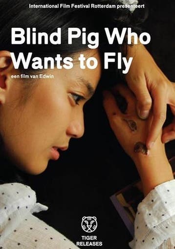 Blind Pig Who Wants To Fly (DVD), Cd's en Dvd's, Verzenden, Nieuw in verpakking