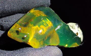 Ambre mexicain de Chiapas !! Livraison gratuite AAA- 31 g