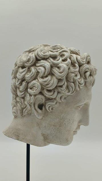 sculptuur, Testa di Eros - 33 cm - marmerpoeder