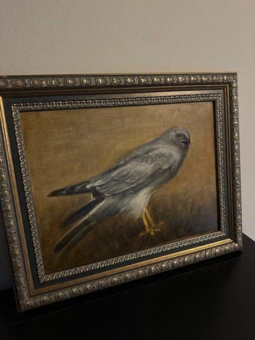 Cornelis Le Mair (1944) - Blauwe Kiekendief