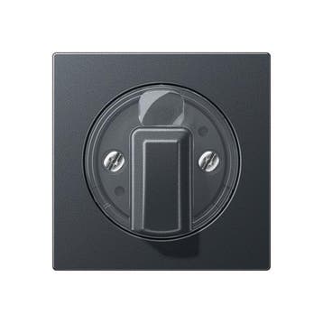 Élément de commande Jung/Interrupteur à Plaque centrale -, Verzenden