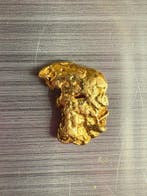 Goud Goud nuggets- 0.18 g - (1), Collections