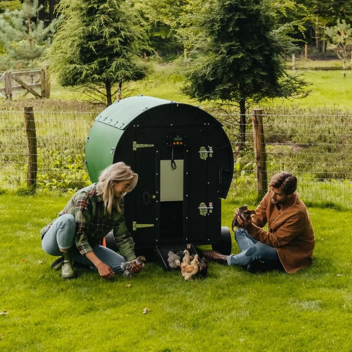 Nestera Wagon, Animaux & Accessoires, Volatiles | Accessoires