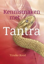 Kennismaken met tantra 9789460151729 Tineke Rood, Verzenden, Gelezen, Tineke Rood
