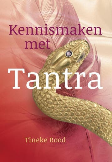 Kennismaken met tantra 9789460151729 Tineke Rood, Verzenden, Zo goed als nieuw, Tineke Rood