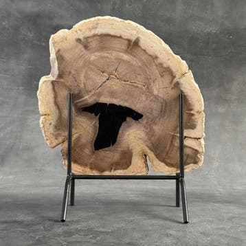 Belle tranche de bois pétrifié sur un socle personnalisé -