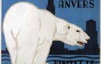René Van Poppel - Anvers: Visitez le ZOO Icebear (big
