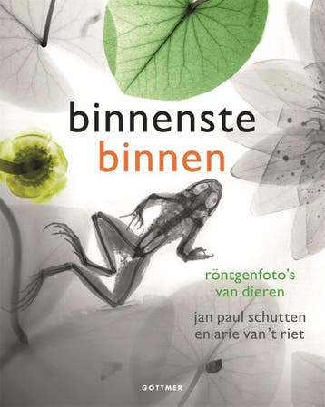 Binnenstebinnen 9789025767266 Arie van t Riet, Boeken, Verzenden, Gelezen, Arie van 't Riet