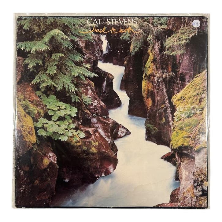 Cat Stevens - Back To Earth Vinyl 1978 (LP), CD & DVD, Vinyles | Autres Vinyles, Envoi