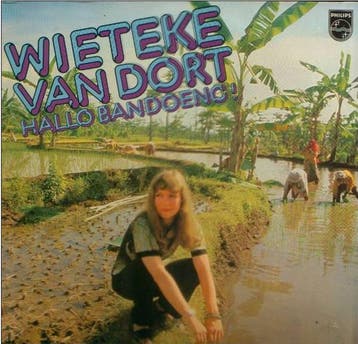 Wieteke van Dort - Hallo Bandoeng!, Verzenden