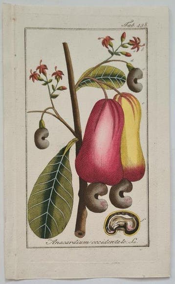 Johannes Zorn. J Sepp - 10 handgekleurde kopergravures oa.