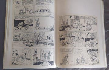 Spirou et Fantasio T7 - Le Dictateur et le Champignon -
