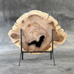 Magnifique tranche de bois pétrifié sur un socle sur mesure