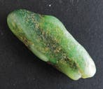 Colombiaanse smaragden (groene variëteit van beriel) Ruwe
