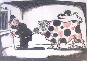 Spotprent met Braat en zn stier die gemolken moet worden, Antiek en Kunst, Verzenden