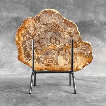 Prachtige plak versteend hout op een op maat gemaakte
