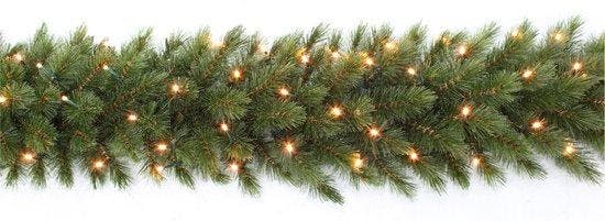 2dekans | Triumph Tree Forest Frosted Guirlande met LED, Divers, Noël, Enlèvement ou Envoi