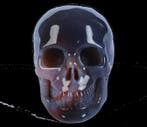 102 g 5,10 × 4,0 cm agaat edel Voodoo magie schedel
