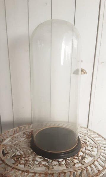 Cloche en verre - Verre, Bois - 1920-1930 - 68 cm