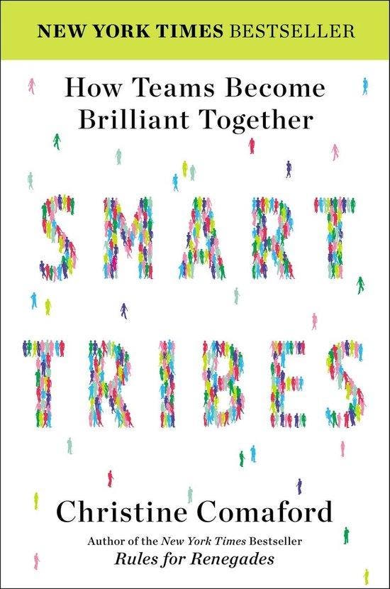 SmartTribes 9781591846482 Christine Comaford, Livres, Langue | Anglais, Envoi