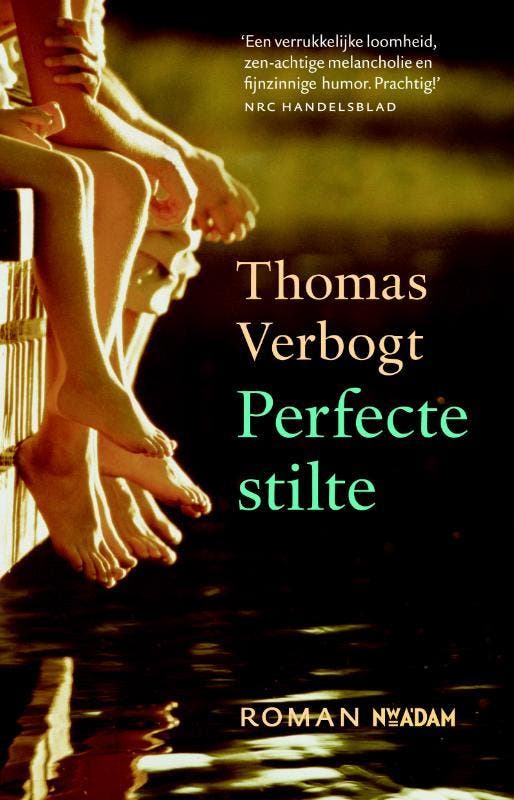 Perfecte stilte 9789046813232 Thomas Verbogt, Boeken, Romans, Gelezen, Verzenden