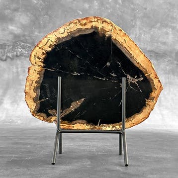 Magnifique tranche de bois pétrifié sur un socle